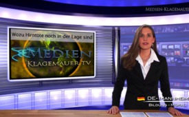 Wozu Hirntote noch in der Lage sind