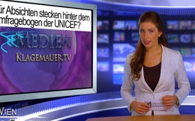 Was für Absichten stecken hinter dem Umfragebogen