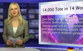 14.000 Tote in 14 Wochen