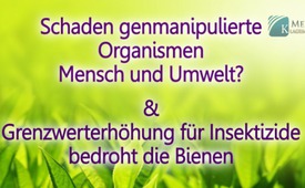 Schaden genmanipulierte Organismen Mensch und Umwelt? 