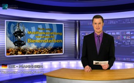 Studie zeigt: Mobilfunkstrahlung verursacht Bienensterben