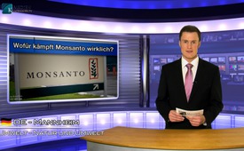 Wofür kämpft Monsanto wirklich?