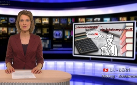 Scheinargument „Harmonisierung“