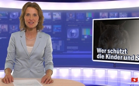 Wer schützt die Kinder und Schafe?