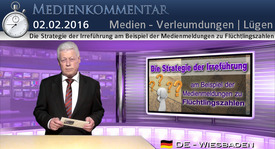 Die Strategie der Irreführung am Beispiel der ...