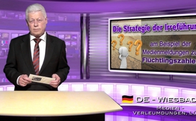 Die Strategie der Irreführung am Beispiel der ...