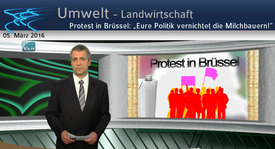Protest in Brüssel: „Eure Politik vernichtet die ...