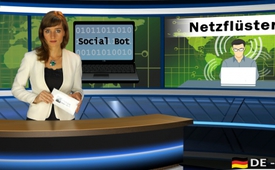 Netzflüsterer