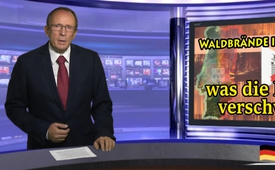 Waldbrände in Portugal: was die Presse verschweigt