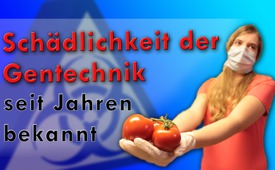 Schädlichkeit der Gentechnik seit Jahren bekannt