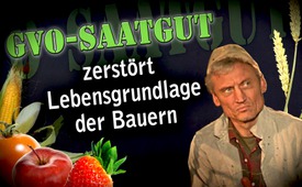 GVO-Saatgut zerstört Lebensgrundlagen der Bauern