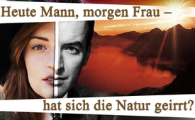Heute Mann, morgen Frau – hat sich die Natur geirrt?