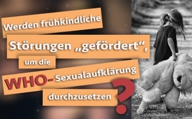 Werden frühkindliche Störungen „gefördert“, um die ...