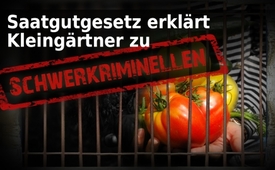 Saatgutgesetz erklärt Kleingärtner zu Schwerkriminellen