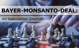 Bayer-Monsanto-Deal: ein kalkuliertes Geschäft