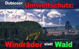 Dubioser Umweltschutz: Windräder statt Wald