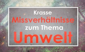 Krasse Missverhältnisse zum Thema Umwelt