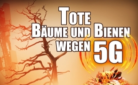 5G: Tote Bäume und Bienen wegen Mobilfunk
