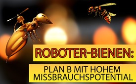 Roboter-Bienen: Plan B mit hohem Missbrauchspotenzial