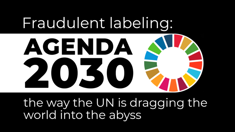 AGENDA 2030 – Wie die UNO die Welt in den Abgrund reißt