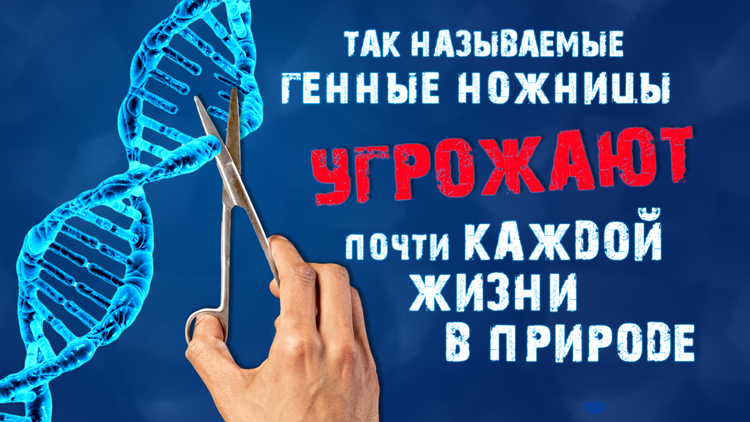 Интернет угрозы для подростков. Половодье типы. Лимитирующий фактор. Виды воднения по станиславскому. Интернет зависимость.