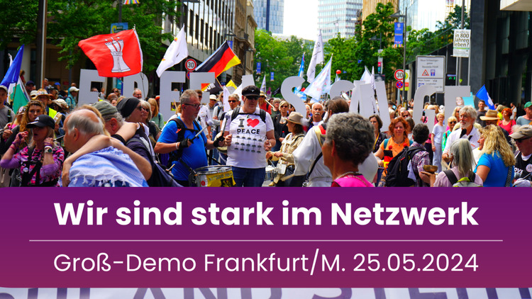 ⁣Demo Frankfurt (25.05.2024) – Aufklärung und Vernetzung