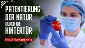 Neue Gentechnik – die Patentierung der Natur durch die ...