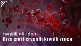Nova studija o 5G zračenju: Brza smrt crvenih krvnih zrnca