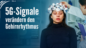 Wie 5G-Signale den Gehirnrhythmus verändern