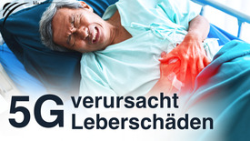 5G-Technologie verursacht Leberschäden