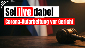Corona-Aufarbeitung: Verantwortungsträger vor Gericht - ...